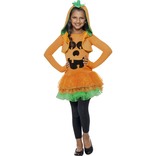 Pumpkin Tutu Dress Costume