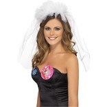 Hen Night Veil On Headband