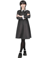 Wednesday Addams Adult Gothic School Girl Costume