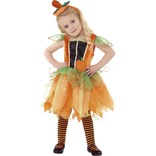 Pumpkin Fairy Costume