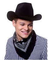 Cowboy Red Bandana
